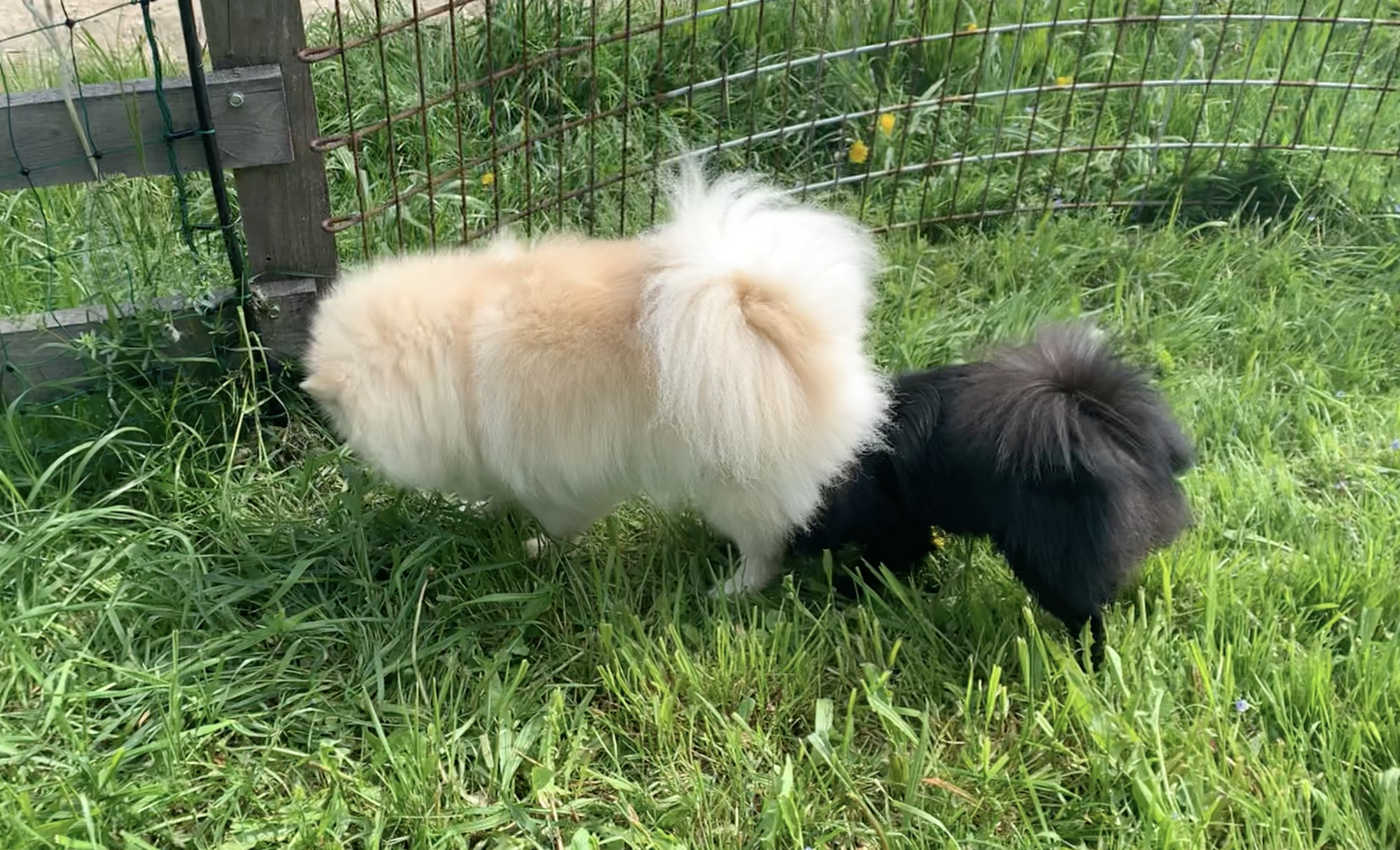 Was das für deinen Alltag bedeutet – und warum Erkennen der erste Schritt ist