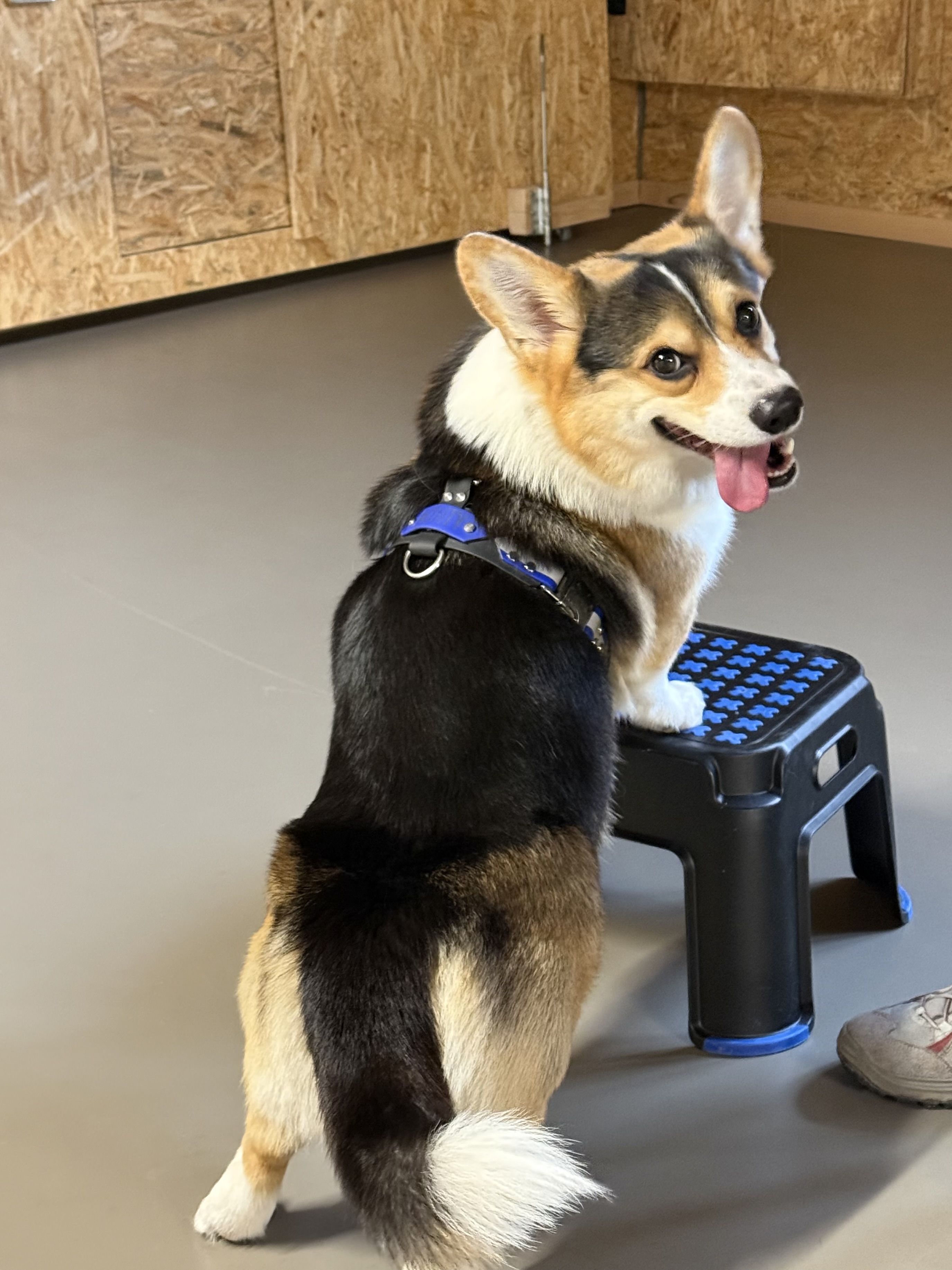 Geschirr mit Lasergravur