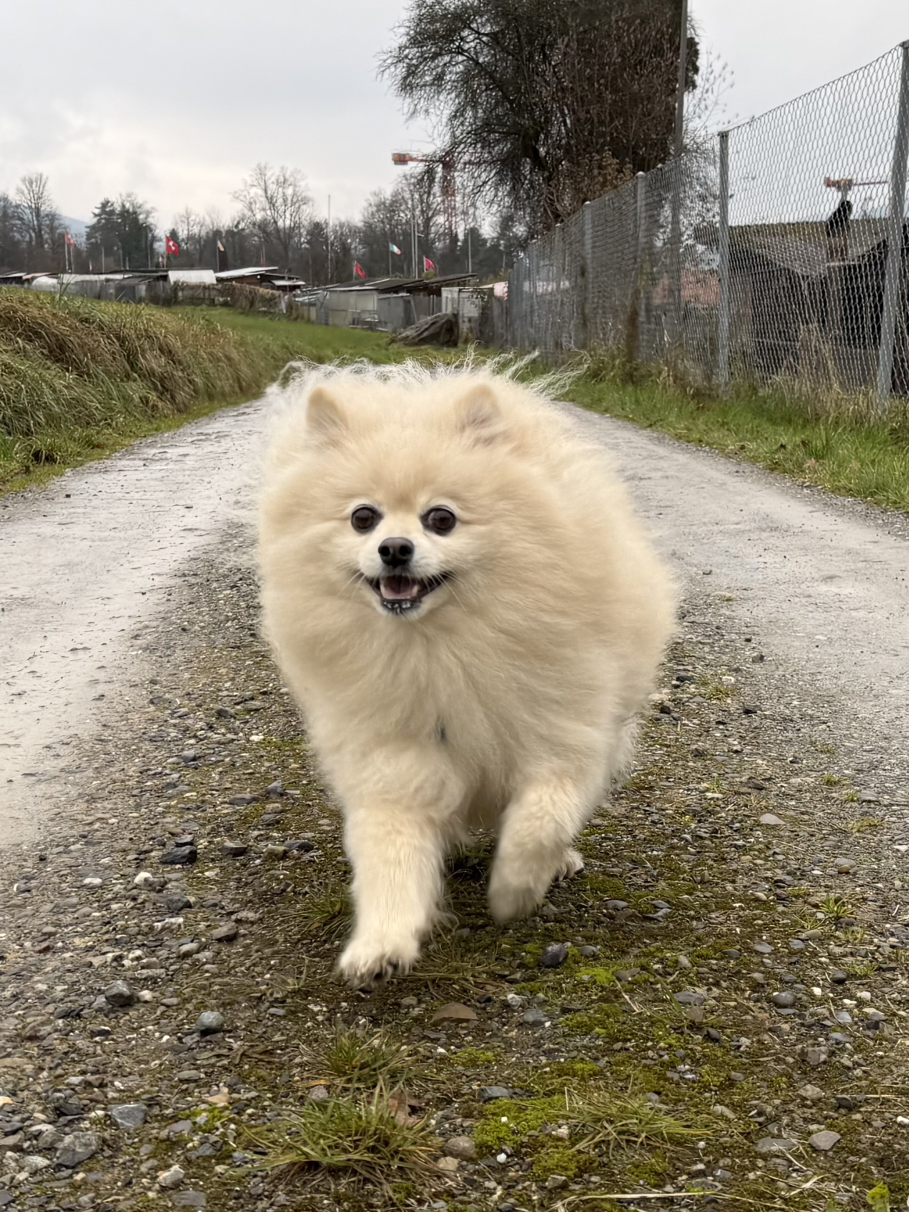 Geschirr mit Lasergravur