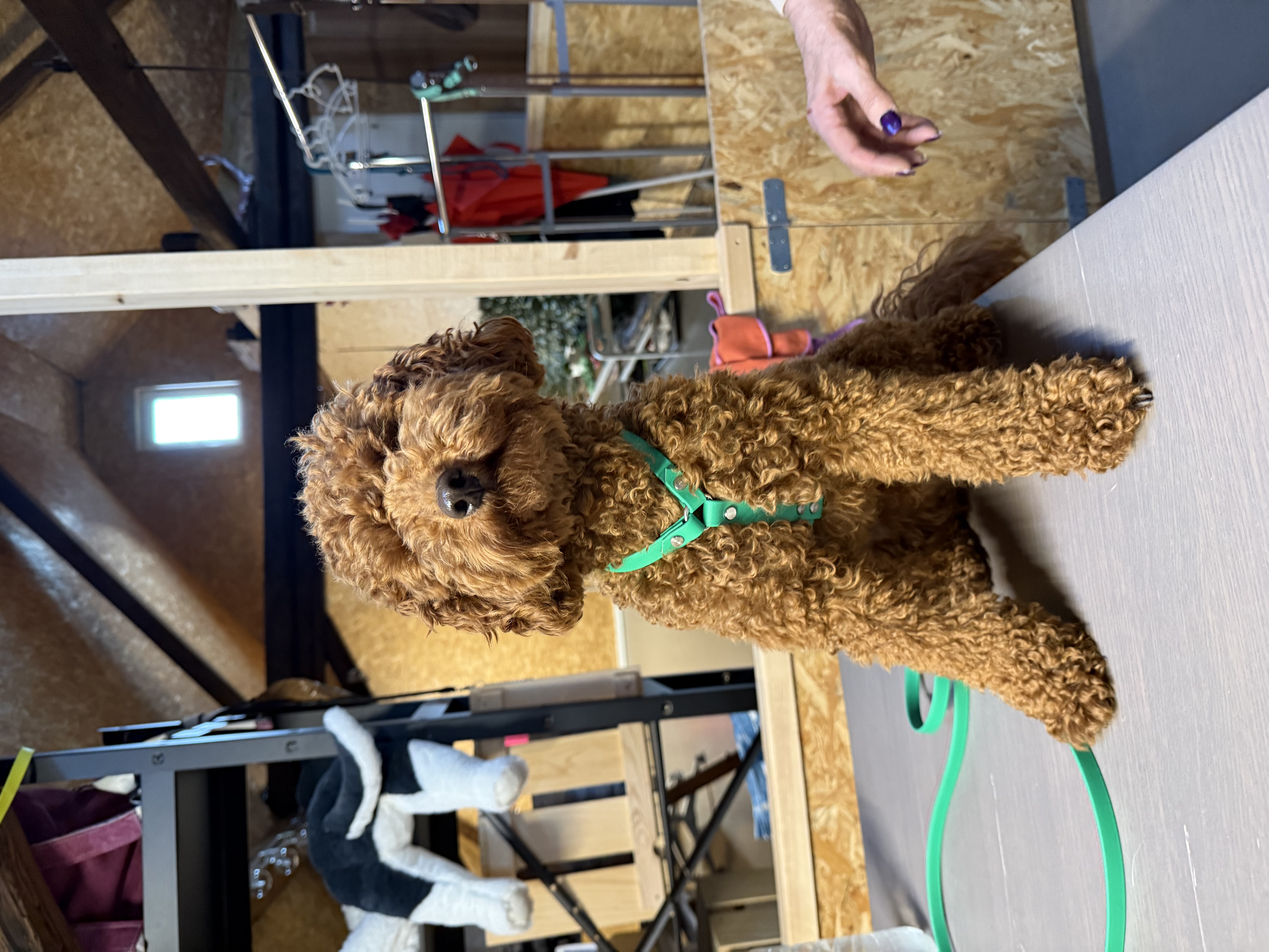 Geschirr mit Lasergravur (Frontansicht)