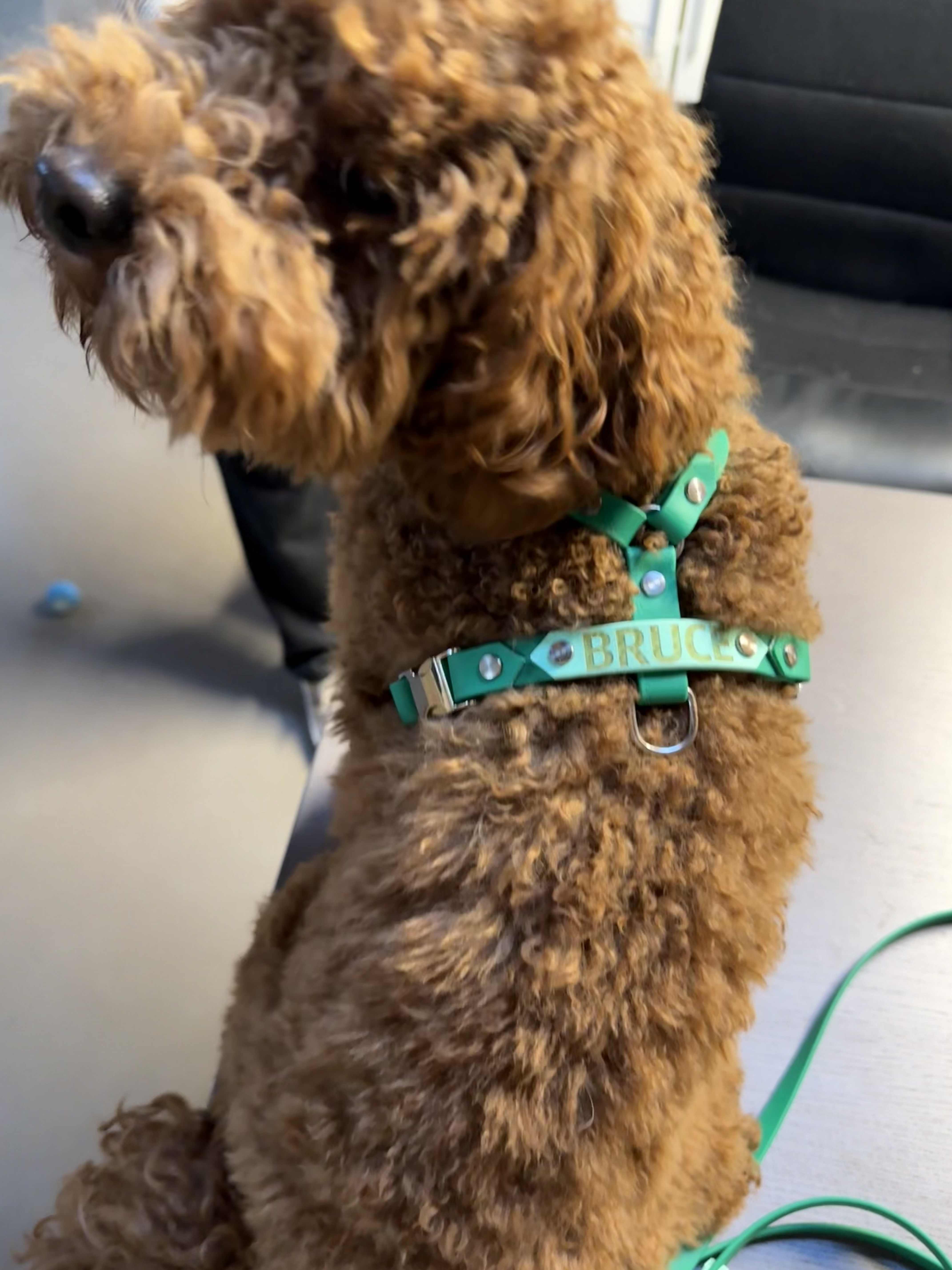 Geschirr mit Lasergravur